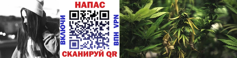 Все наркотики Тулун МДМА Экстази Меф Канабис СК