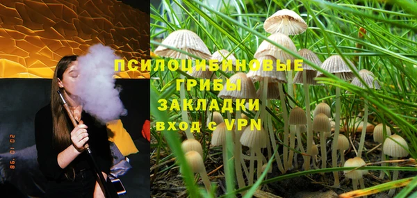 твердый Абинск
