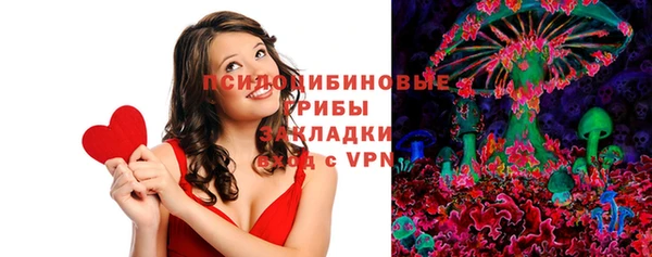 шишки Алексеевка