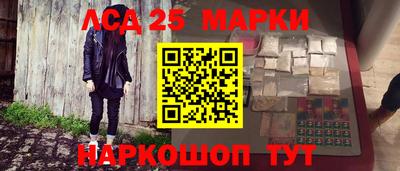 прущие крисы Кингисепп