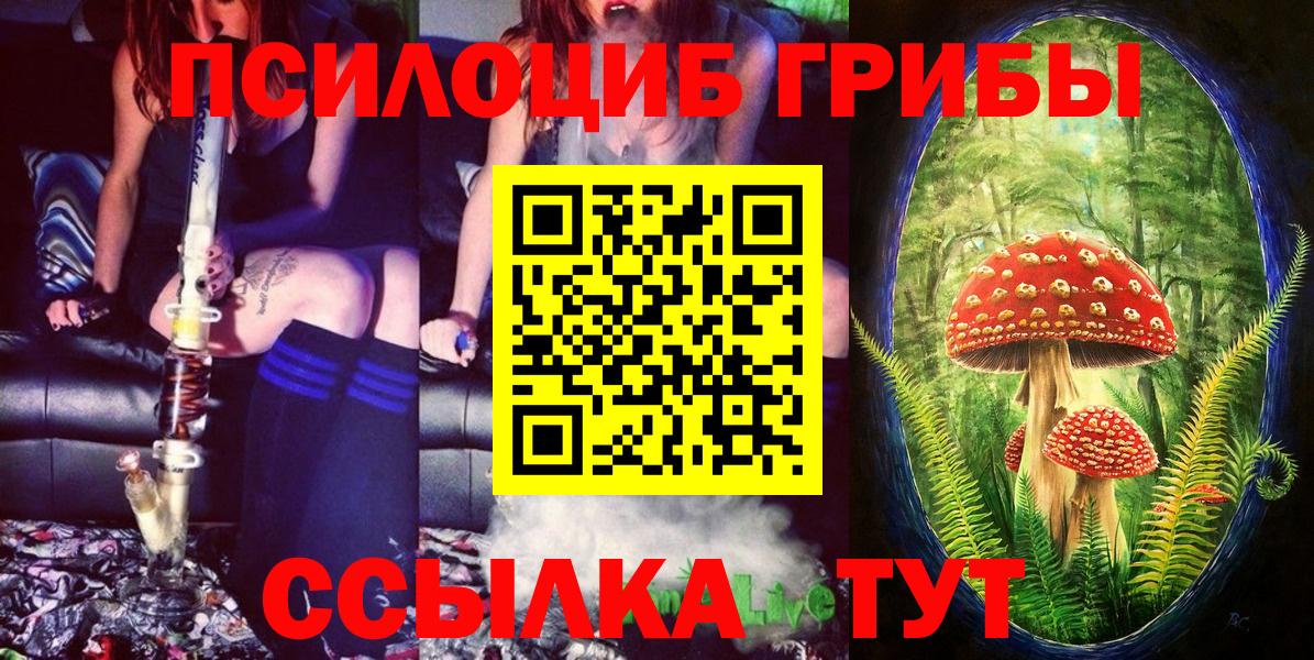 Галлюциногенные грибы прущие грибы Тулун