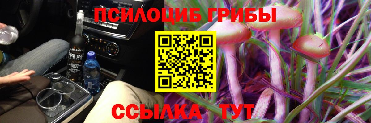 Псилоцибиновые грибы мухоморы  Вход с VPN  Тулун 
