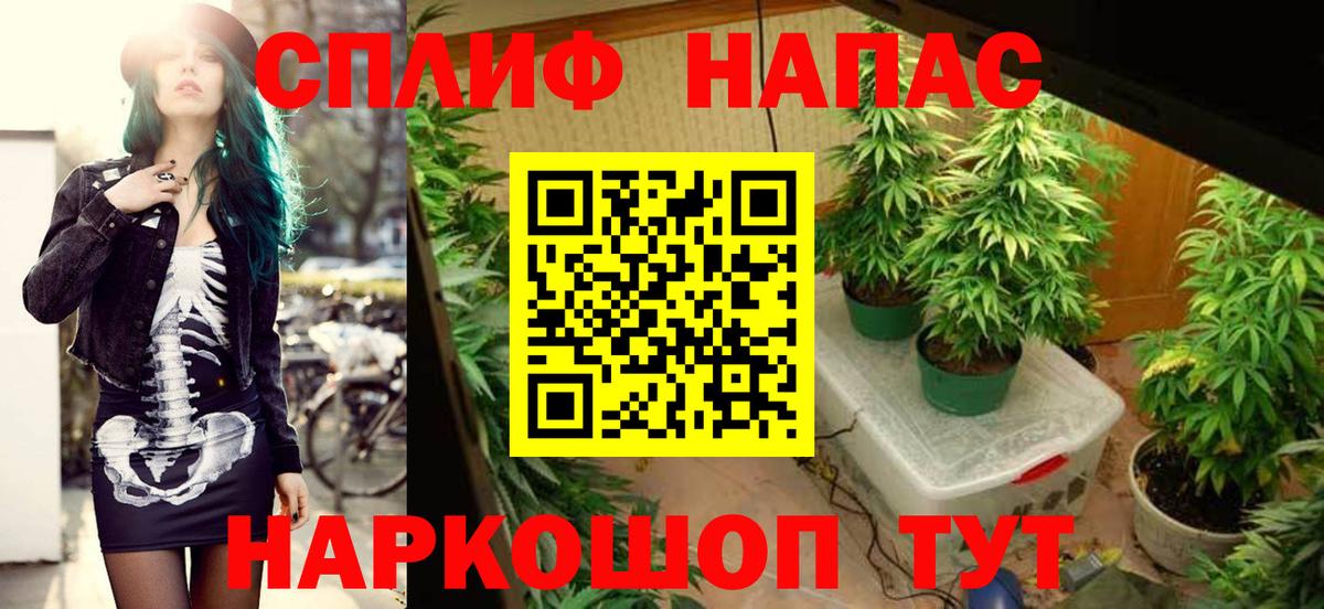 Каннабис VHQ  Вход с VPN  Тулун  Бошки марихуана Ganja  Каннабис семена 
